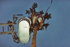 Bild020_Neg.Nr_.21A-1