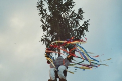 Bild021_Neg.Nr_.22