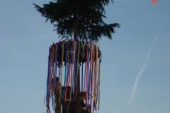 DSC01469