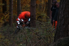 20151030_152853jpg_28452336876_o