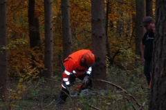 20151030_152904jpg_28201455460_o