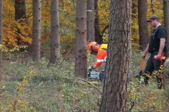20151030_153041jpg_28484620305_o
