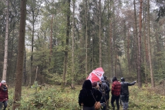 IMG_20191101_145635_L