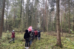 IMG_20191101_145639_L