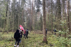 IMG_20191101_145649_L