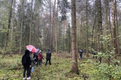 IMG_20191101_145650_L