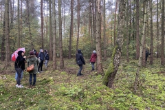 IMG_20191101_145804_L