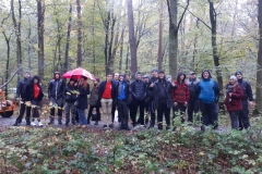 IMG_20191101_150435_G