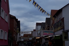 IMG_20191103_143805_G