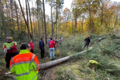 IMG-20211029-WA0023